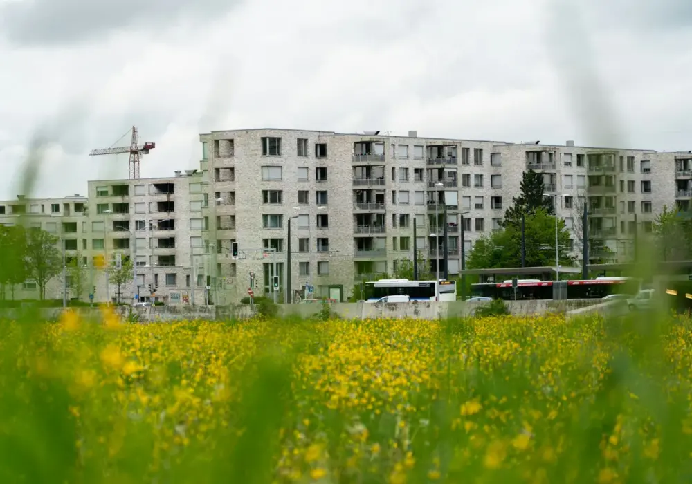 Ile zarabia deweloper? Zaskakujące fakty o wynagrodzeniach w branży