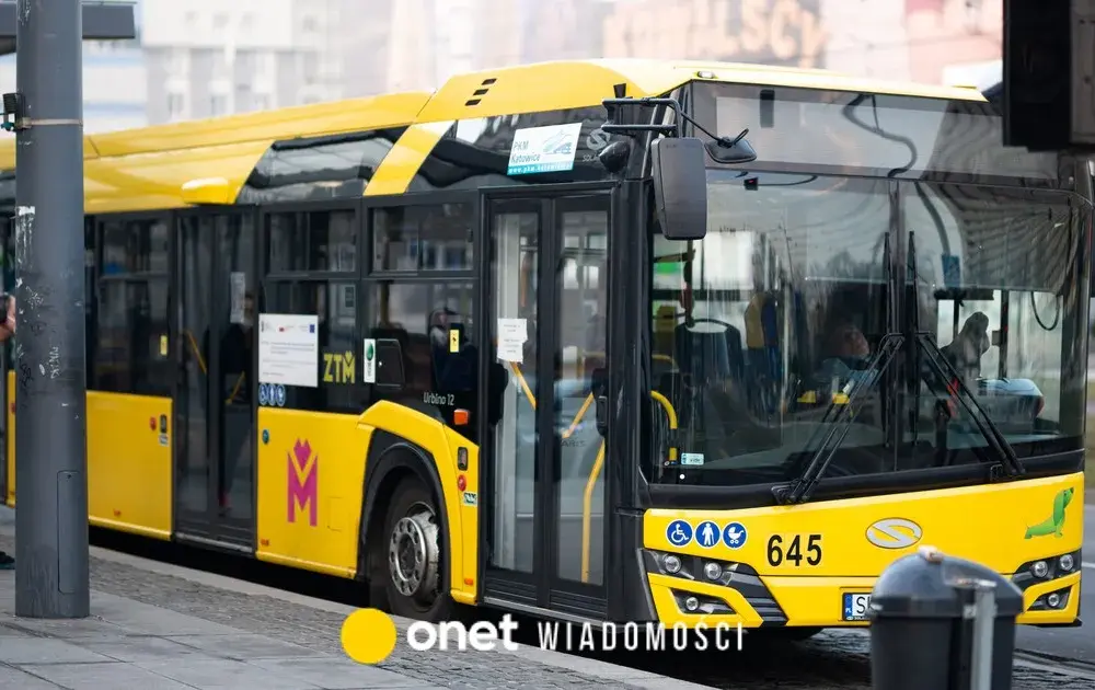 Czy autobus ma pierwszeństwo w terenie zabudowanym? Sprawdź zasady bezpieczeństwa
