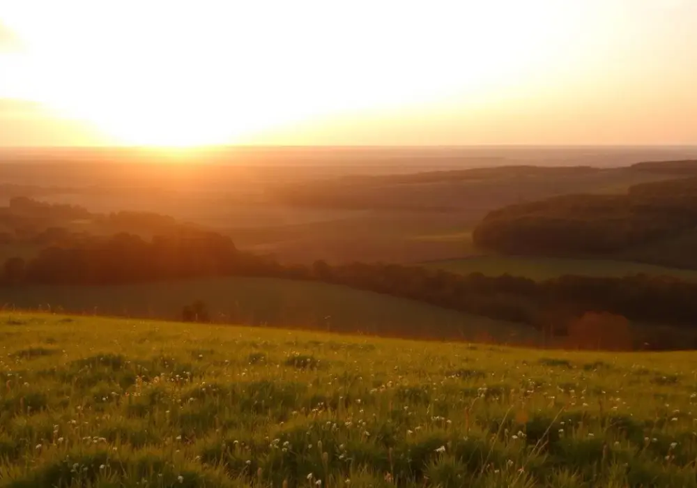 Ile kosztuje ar działki budowlanej na wsi? Ceny, które Cię zaskoczą
