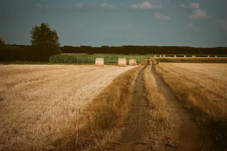 Jak sprawdzić klasę ziemi po numerze działki i uniknąć problemów z gruntem