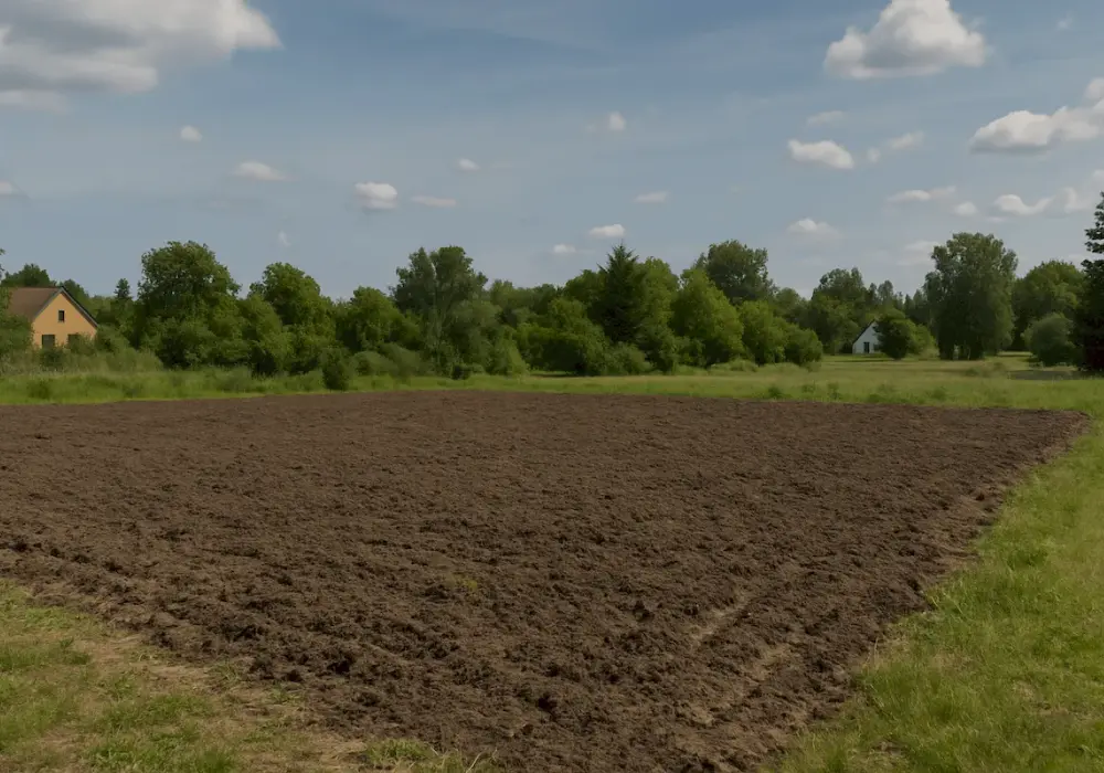Odrolnienie fragmentu działki - Jak uniknąć kosztów?
