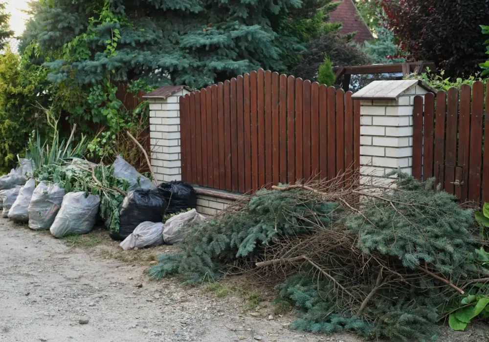 Gdzie wyrzucić gałęzie z działki, aby uniknąć kar i problemów?
