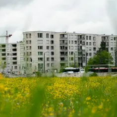 Ile zarabia deweloper? Zaskakujące fakty o wynagrodzeniach w branży