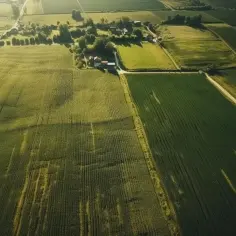 Rozległe, zielone pola uprawne z domami w oddali. Zastanawiasz się, jak wycenić działkę rolną?