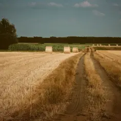 Jak sprawdzić klasę ziemi po numerze działki i uniknąć problemów z gruntem