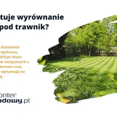 Pięknie przystrzyżony trawnik z pasami, otoczony zielenią i drzewami.