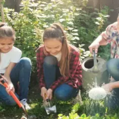 Jakie drzewa na działkę rekreacyjną: łatwe w pielęgnacji i piękne