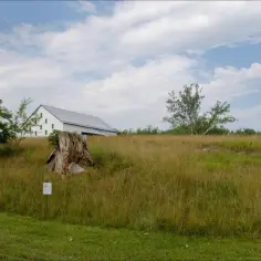 Na działce rekreacyjnej z białym budynkiem i wysoką trawą, czy można mieszkać? Obok pnia drzewa tabliczka "Eagle Nesting Area".