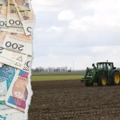 Złotówki i zielony traktor na polu. Zastanawiasz się, ile kosztuje hektar lasu?