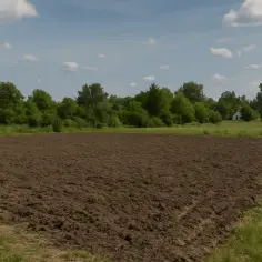 Pola uprawne i domki w tle. Czy można odrolnić tylko część działki?