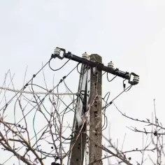 Słupy energetyczne z kablami i izolatorami, otoczone nagimi gałęziami. Czy ktoś dostał odszkodowanie za słupy energetyczne?