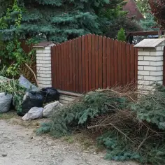 Gdzie wyrzucić gałęzie z działki, aby uniknąć kar i problemów?
