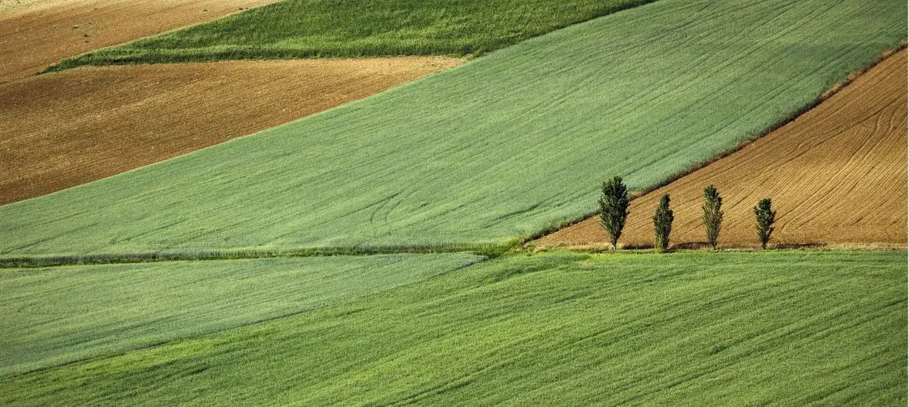 Zdjęcie Nieruchomość niezabudowana – co to znaczy i jakie ma znaczenie?