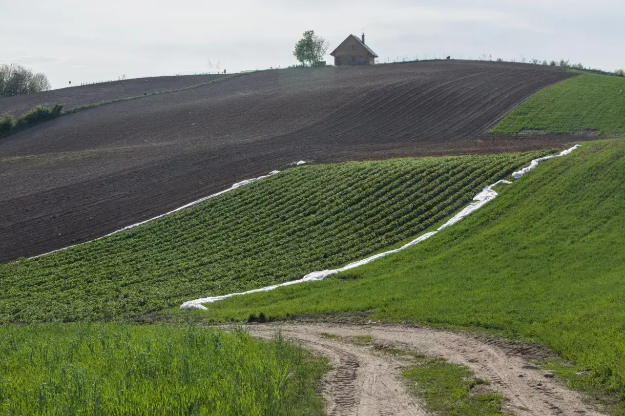 Wzgórza z polami uprawnymi, domkiem na szczycie i drogą. Ceny działek rolnych mogą być tu wysokie ze względu na malownicze położenie.