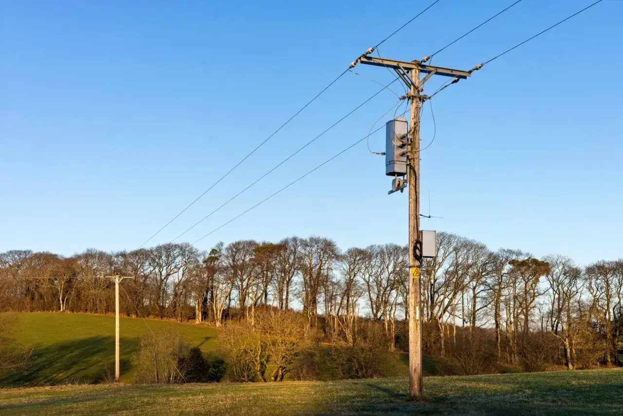 Słupy energetyczne na działce. Zastanawiasz się, ile odszkodowania za słupy na działce możesz uzyskać? Tło to drzewa i błękitne niebo.