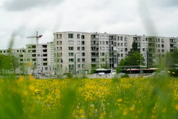 Ile zarabia deweloper? Zaskakujące fakty o wynagrodzeniach w branży