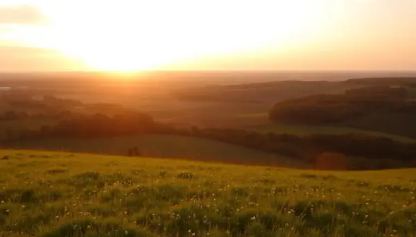 Ile kosztuje ar działki budowlanej na wsi? Ceny, które Cię zaskoczą