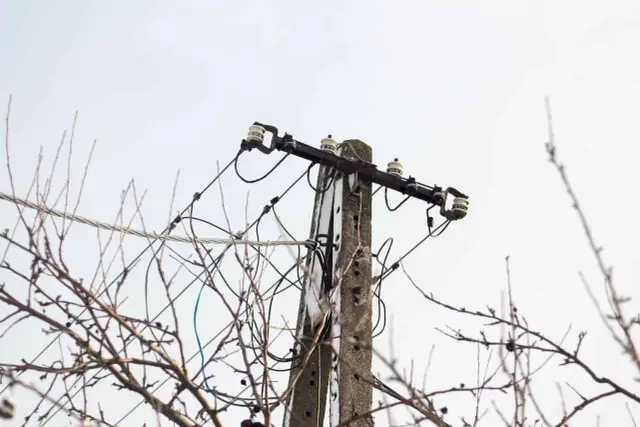 Słupy energetyczne z kablami i izolatorami, otoczone nagimi gałęziami. Czy ktoś dostał odszkodowanie za słupy energetyczne?